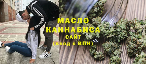 гидра Богородск