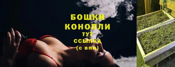 гашик Белокуриха