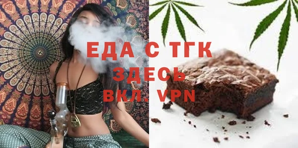гидра Богородск