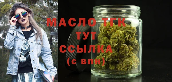 гидра Богородск