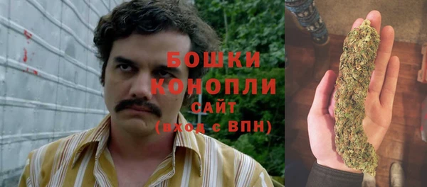 стафф Ишимбай