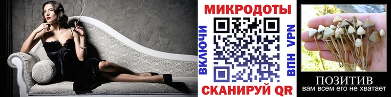 Галлюциногенные грибы Cubensis  Саяногорск 
