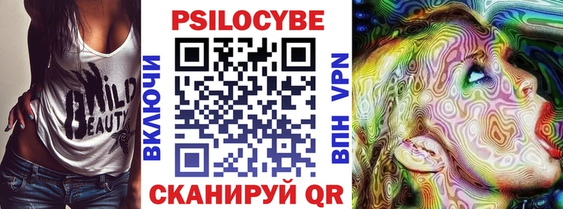 Псилоцибиновые грибы Psilocybe Саяногорск