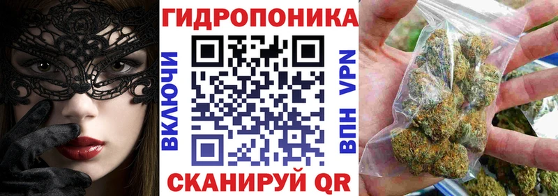 Канабис VHQ  гидра ссылка  Саяногорск 